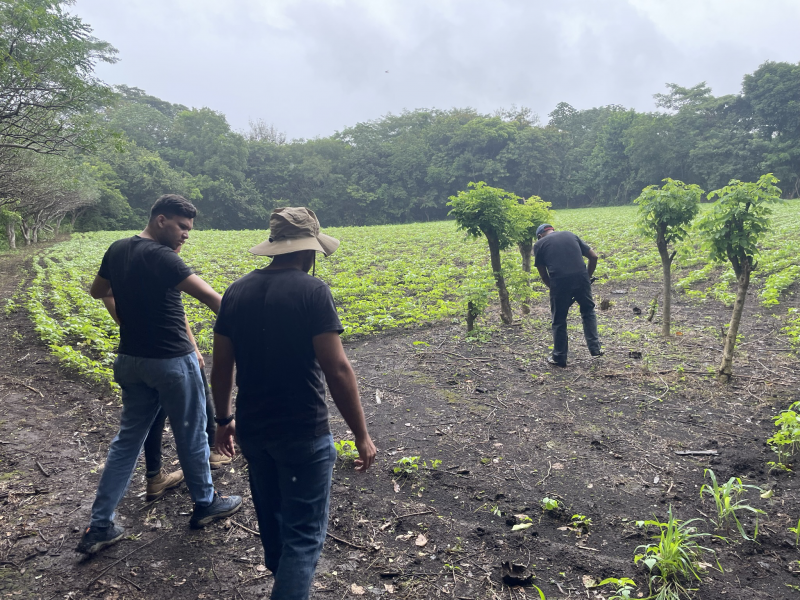 202311110 El Corozo Visit